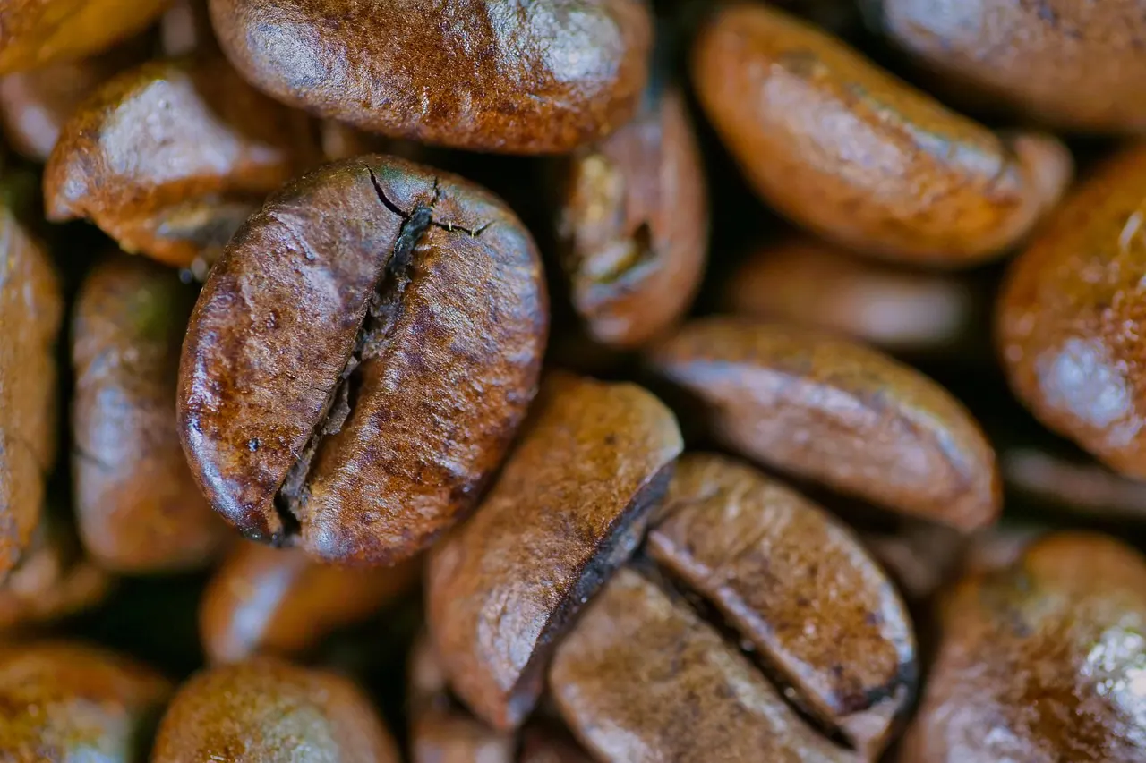 coffee, bean, caffeine, coffee beans, coffee shop, aroma, roasted, brown, espresso, fragrance, coffee, coffee, coffee, coffee, coffee beans, coffee beans, coffee beans, coffee bean