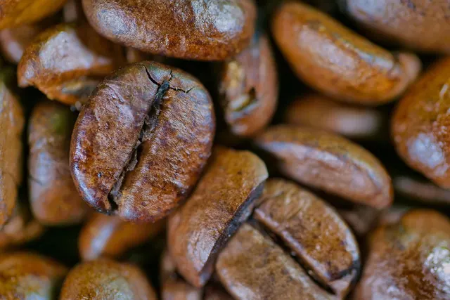 coffee, bean, caffeine, coffee beans, coffee shop, aroma, roasted, brown, espresso, fragrance, coffee, coffee, coffee, coffee, coffee beans, coffee beans, coffee beans, coffee bean