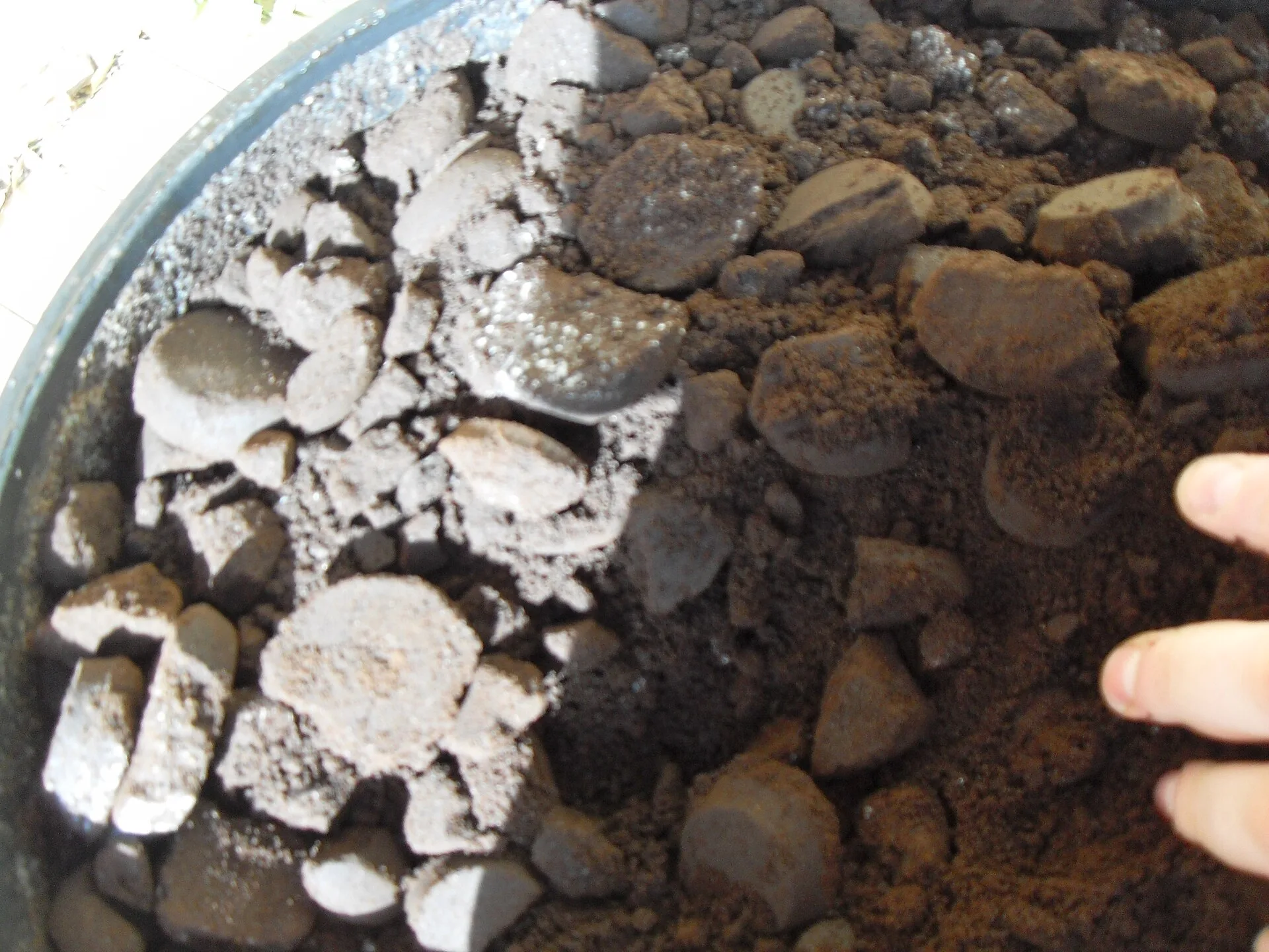 A bucket of coffee grounds prior to being used on plants. Cheap habits stretch a home brewing budget further without hurting the cup