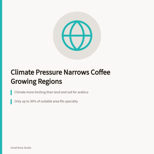 Climate change narrowing the map of land suitable for specialty coffee. One coffee trend to watch in 2027: climate pressure on growing regions