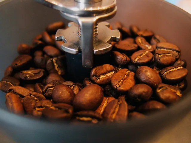 coffee beans, grinder, coffee, bean, cafe, caffeine, brown, roasted, vintage, wooden, retro, old, mill, traditional, grind, aromatherapy, burr, aroma, taste, rustic, beverage, brown coffee, brown cafe, brown retro. Home coffee brewing: what spending more changes in the cup