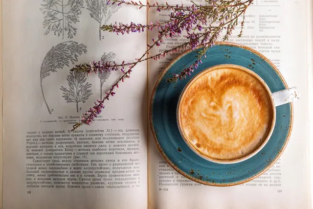 coffee, cappuccino, café, closeup, drink, coffee cup, scented, caffeine, breakfast, brown, mocha, espresso, cup, drink coffee, book, read, latté, cream, coffee, coffee, coffee, cof