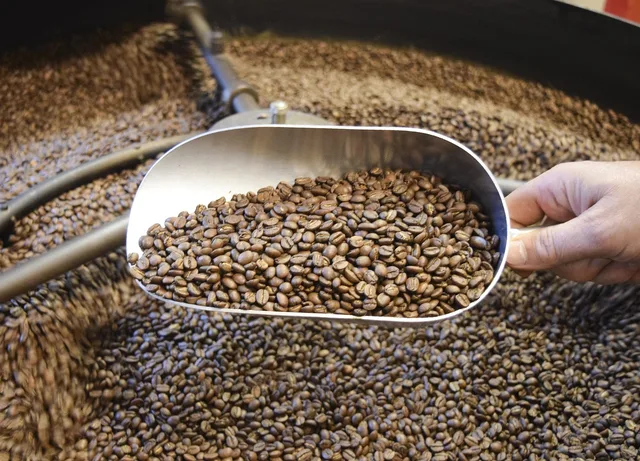 coffee, beans, espresso, roasted, roaster, roast, caffeine, cafe, aroma, brew, cup, natural, texture, java, mocha, brewed, coffee cup, company, flavor, scooper, scoop, brown cafe, brown company, brown cup. How to judge coffee roasters as a beginner, without a brand list