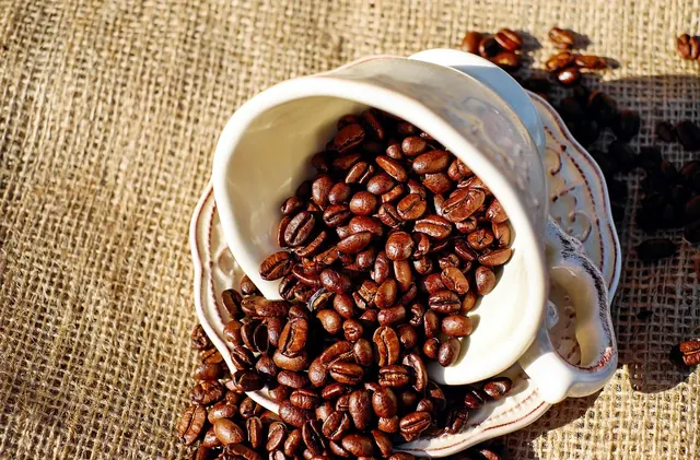 coffee, coffee cup, porcelain, coffee beans, roasted coffee, caffeine, roasted coffee beans, cup, coffee, coffee, coffee, coffee, coffee, coffee beans