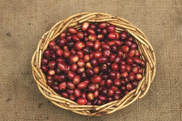 coffee, coffee beans, basket, woven basket, gayo coffee, red beans, sumatra coffee, top view, caffeine, coffee, coffee, coffee, coffee beans, coffee beans, coffee beans, coffee beans, coffee beans, basket, red beans. What labels can tell you about small space coffee gear: the honest picture